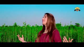 Tere Navi jind la chhori amarchand new song 2024 [upl. by Chin505]