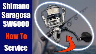 Shimano Saragosa SW6000  How To Take Apart Service amp Reassemble [upl. by Sisson773]