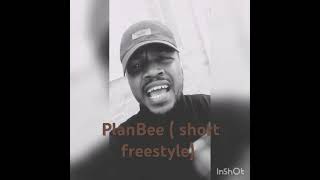 PlanBeefreestyle [upl. by Josefa623]