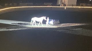 🏇🏇🏇 2024  The Fantasia Horse Show Full Movie [upl. by Oibesue46]