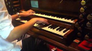 Nuvole Bianche  ORGAN VERSION by TheAdamPiano HD [upl. by Hackathorn]