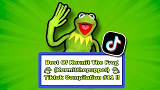 Tik Tok Memes Kermit the Frog Sent Me [upl. by Wilhelm]