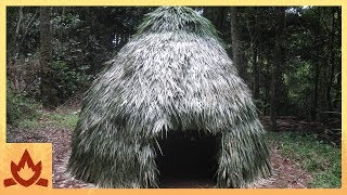 Primitive Technology Thatched Dome Hut [upl. by Naryk230]