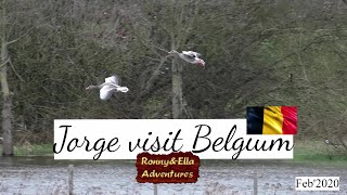 Storm Jorge visit Belgium [upl. by Edwine]