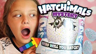 THE BEST Hatchimals Mystery EGG Surprise EVER [upl. by Aileek]