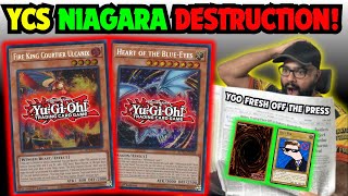 YCS NIAGARA JUST DESTROYED THE MARKETS  YuGiOh Market Watch [upl. by Wampler]