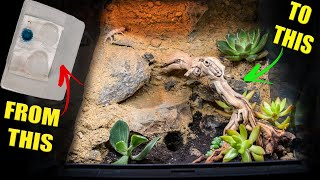 How to setup an EPIC naturalistic BIOACTIVE GECKO tank [upl. by Aihcats]