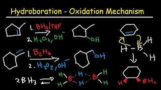 Hydroboration Oxidation Mechanism of Alkenes  BH3 THF H2O2 OH Organic Chemistry [upl. by Llezo]