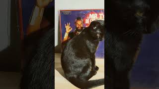 Is This the WORST RAP ALBUM Ever Made Mr T Raps youtubehighfive youtubecreators [upl. by Litt]