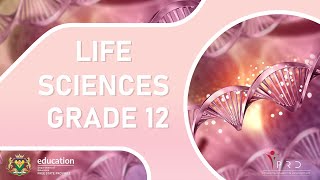 07 AUGUST 2024 1530  1700 LIFE SCIENCES GRADE 12 [upl. by Aveline]