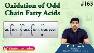 163 Oxidation Of Odd Chain Fatty Acids [upl. by Ailaht]