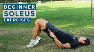 4 Beginner Soleus Muscle Strengthening Exercises [upl. by Lathrop]