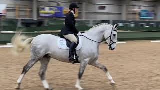 Novice 23 Dressage Test [upl. by Aicilaf]