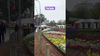 Floriade Tulip Festival Canberra Australia 🇦🇺 BuluVaiya flowers tulip floriade fyp [upl. by Layol]