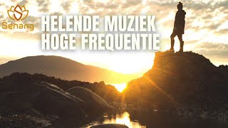 Helende Muziek Hoge Frequentie  8 uur rustige geluiden voor slaap meditatie en studeren [upl. by Fadil]