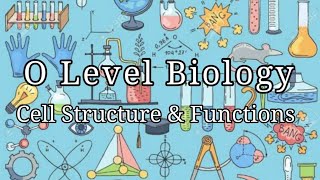 O Level Biology  Introduction to Cells amp Tissue Specialised Cells [upl. by Nimoynib905]