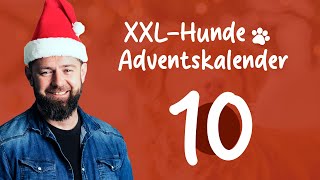 Türchen 10 🎄 XXLHundeAdventskalender 🐕 [upl. by Corby]