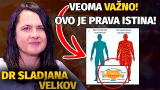 Dr Sladjana Velkov INSULINSKA REZISTENCIJA  Doktorka OBJASNILA sve što TREBA da ZNATE [upl. by Risley]