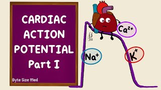 Ventricular Action Potential  Cardiac Action Potential  Part 1  Phases  Cardiac Physiology [upl. by Attenhoj29]