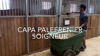 Présentation du CAPa Palefrenier Soigneur Mancy [upl. by Snook]