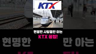 현명한 사람들만 알고 있다는 KTX 꿀팁 KTX 기차예매 입석 [upl. by Essilrahc]