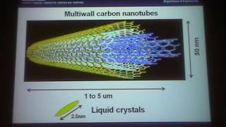 Liquid Crystal Nanophotonic Devices  Timothy Wilkinson [upl. by Cahra]