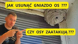 Czy tym razem osy mnie zaatakują  jak usunąć gniazdo os  jak usunąć gniazdo szerszeni [upl. by Alice]