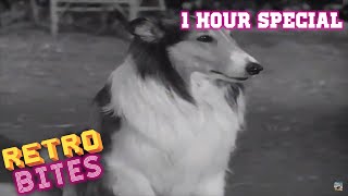 Lassie  1 Hour Special  English  Full Episodes  Old Cartoons [upl. by Anerat372]