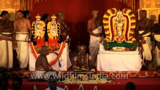 Idols of Tirupati in Delhi for Kalyana Mahotsavam [upl. by Bondy]