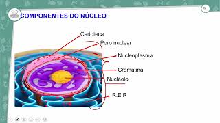 121  REVISÃO GERAL DA UNIDADE I  BIOLOGIA  3º ANO EM  AULA 1212024 [upl. by Eerized]