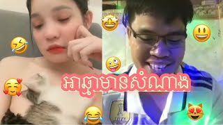 42អាឆ្មាមានសំណាង🤣 Reaction video Tik Tok [upl. by Karena]