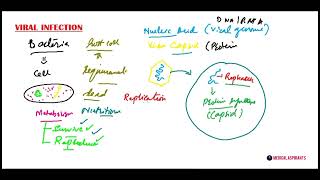 Biology CH 05 LEC 05 Viral Infection  How Virus Infect Anyone [upl. by Bolte]