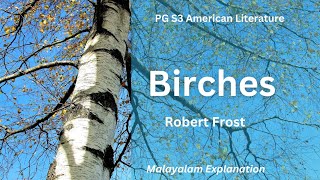 Birches  Robert Frost PG S3 American Literature Malayalam Explanation [upl. by Schaumberger716]