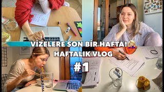 BİR HAFTA BİRLİKTE DERS ÇALIŞALIM📚  GÜNLÜK EV HAYATIM  Haftalık Vlog 1 [upl. by Ahsinert]