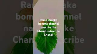 Rama chilakamma enthu kastapadi chesanu please like subscribe [upl. by Hanima]