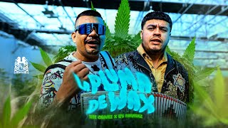 Los Farmerz x Tite Chavez  La Pluma De Wax En Vivo [upl. by Brodie961]