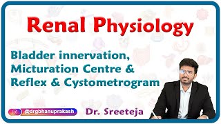 Bladder innervation Micturation centre amp Reflex and Cystometrogram  Renal physiology USMLE Step 1 [upl. by Frasquito]