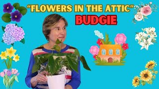 Budgie  Flowers in the Attic Una Joyita Musical por Descubrir [upl. by Ahsanat]