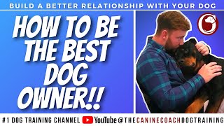 How to be the best dog owner [upl. by Arihsa]