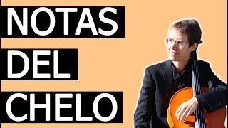 🎻 Las NOTAS del Violonchelo  Primeros pasos en el Chelo  PARTITURAS [upl. by Pauline]