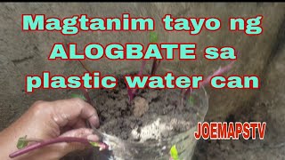 Magtanim Tayo ng ALOGBATE plastic water can [upl. by Ardnekan977]