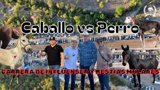 Carreras de PERROS VS CABALLO 🐎 influencers y bestias mulares Alamos son [upl. by Weisberg]