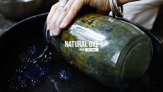 HOW TO make an INDIGO MOTHER  IRON VAT  Natural dye [upl. by Scever352]