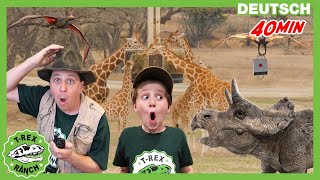 Dinosaurier und Wildtiere für Kinder  TRex Ranch  Dinosaurier für Kinder [upl. by Franklyn11]