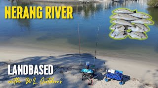 Land Based Fishing  Nerang River Whiting [upl. by Frannie]