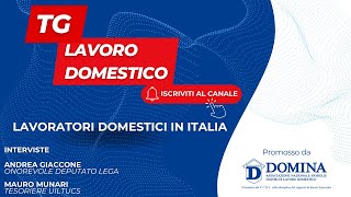 Tg Lavoro Domestico  Lavoratori domestici in Italia [upl. by Huda]