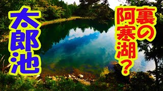 60秒の写真旅行【裏阿寒湖？密林の中の巨大池 太郎池】＃阿寒湖 太郎池 [upl. by Yzzik]