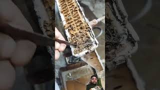 Radiatormechancial repair automobile please guys jyada jyada subscribe like Karen🚘🇮🇳👈 [upl. by Herwig558]