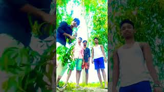 Bolchi ogo bolchi tai didimoni tomay chai trending reels viralvideo [upl. by Masry299]