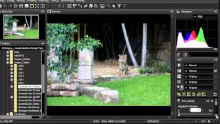 Review of Nikon ViewNXi Software [upl. by Smalley]